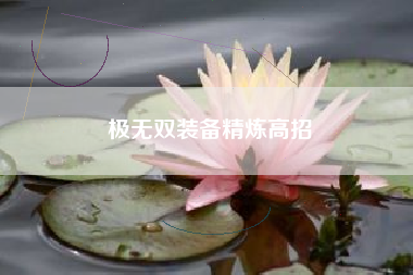 极无双装备精炼高招  第1张