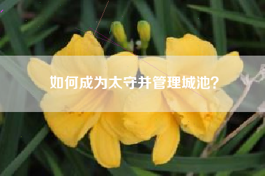 如何成为太守并管理城池？  第1张
