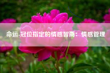 命运-冠位指定的情感智商：情感管理  第1张