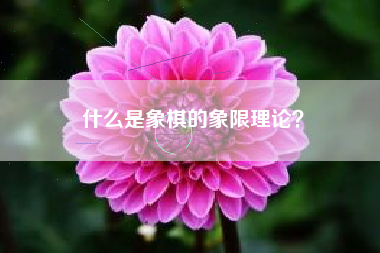 什么是象棋的象限理论？  第1张
