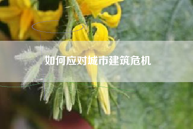 如何应对城市建筑危机  第1张