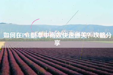 如何在PVE副本中高效快速通关？攻略分享  第1张