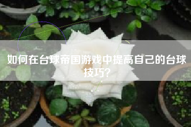 如何在台球帝国游戏中提高自己的台球技巧？  第1张