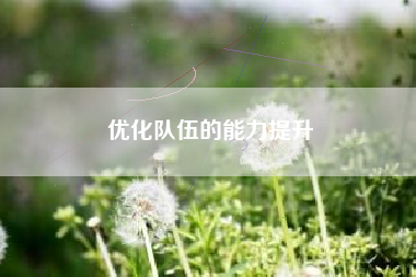 优化队伍的能力提升  第1张