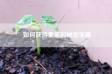 如何获得更多的秘密宝箱  第1张