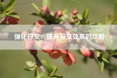 强化符文：提升符文效果的攻略  第1张