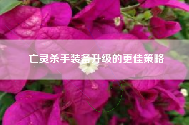 亡灵杀手装备升级的更佳策略  第1张
