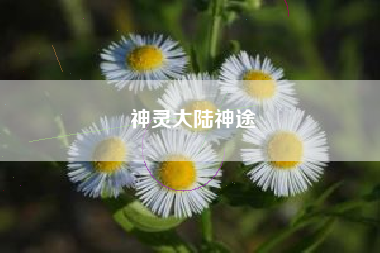 神灵大陆神途  第1张