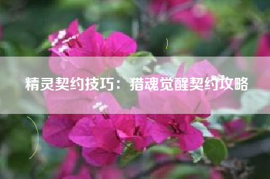 精灵契约技巧：猎魂觉醒契约攻略  第1张