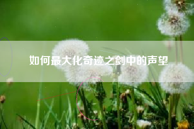 如何最大化奇迹之剑中的声望  第1张