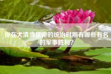你在大清当皇帝的统治时期有哪些有名的军事胜利？  第1张