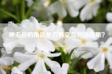 神无月的角色是否有交互对话选项？  第1张