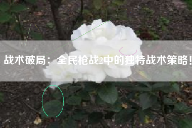 战术破局：全民枪战2中的独特战术策略！  第1张