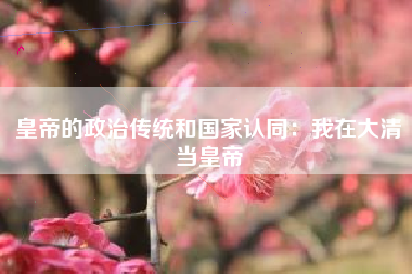 皇帝的政治传统和国家认同：我在大清当皇帝  第1张