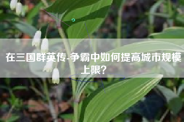 在三国群英传-争霸中如何提高城市规模上限？  第1张