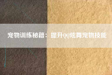 宠物训练秘籍：提升QQ炫舞宠物技能  第1张