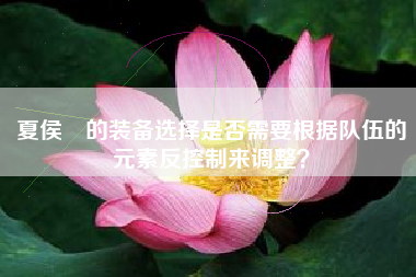 夏侯惇的装备选择是否需要根据队伍的元素反控制来调整？  第1张