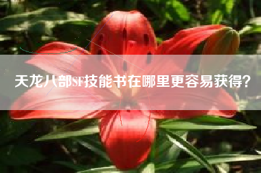 天龙八部SF技能书在哪里更容易获得？  第1张