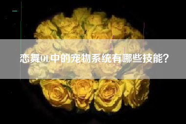 恋舞OL中的宠物系统有哪些技能？  第1张