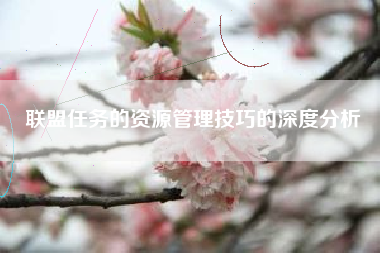 联盟任务的资源管理技巧的深度分析  第1张