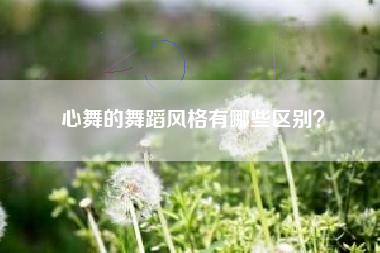 心舞的舞蹈风格有哪些区别？  第1张