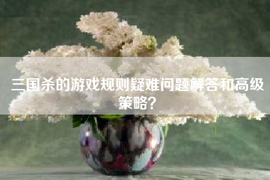 三国杀的游戏规则疑难问题解答和高级策略？  第1张
