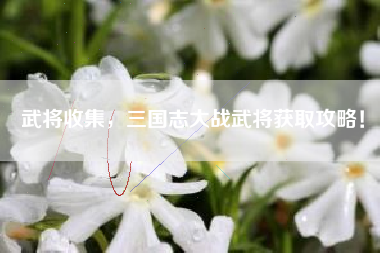 武将收集，三国志大战武将获取攻略！  第1张