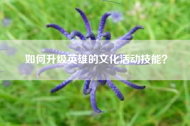 如何升级英雄的文化活动技能？  第1张