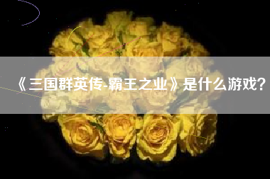 《三国群英传-霸王之业》是什么游戏？  第1张
