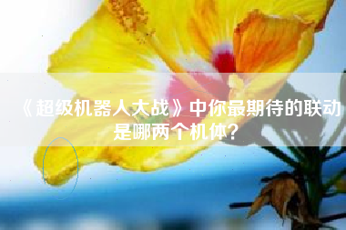 《超级机器人大战》中你最期待的联动是哪两个机体？  第1张