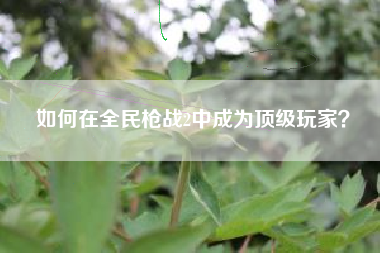 如何在全民枪战2中成为顶级玩家？  第1张