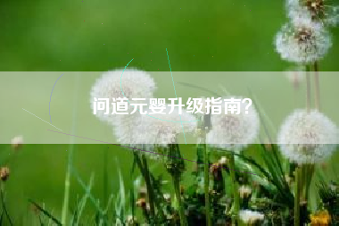问道元婴升级指南？  第1张