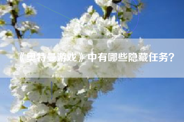《奥特曼游戏》中有哪些隐藏任务？  第1张