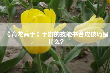 《育龙高手》手游的技能书合成技巧是什么？  第1张