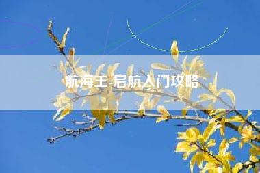航海王-启航入门攻略  第1张