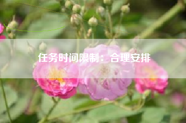 任务时间限制：合理安排  第1张