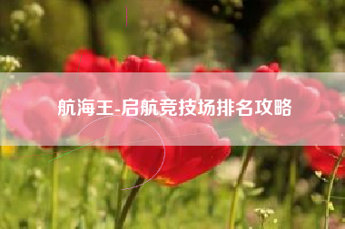 航海王-启航竞技场排名攻略  第1张