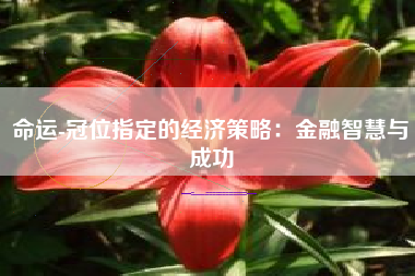 命运-冠位指定的经济策略：金融智慧与成功  第1张