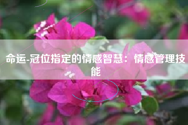 命运-冠位指定的情感智慧：情感管理技能  第1张