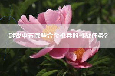 游戏中有哪些合金机兵的挑战任务？  第1张