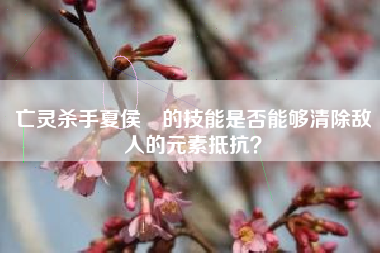 亡灵杀手夏侯惇的技能是否能够清除敌人的元素抵抗？  第1张