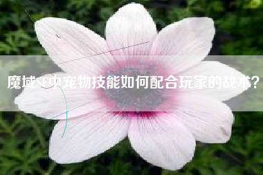 魔域SF中宠物技能如何配合玩家的战术？  第1张