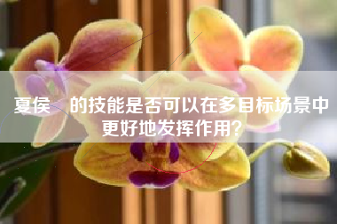 夏侯惇的技能是否可以在多目标场景中更好地发挥作用？  第1张