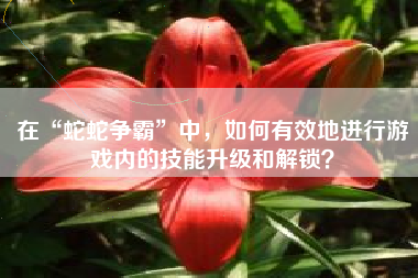 在“蛇蛇争霸”中，如何有效地进行游戏内的技能升级和解锁？  第1张