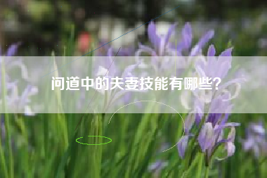 问道中的夫妻技能有哪些？  第1张