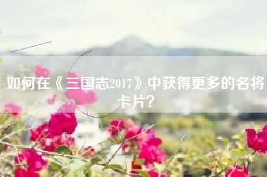 如何在《三国志2017》中获得更多的名将卡片？  第1张