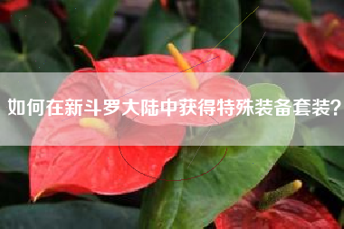 如何在新斗罗大陆中获得特殊装备套装？  第1张