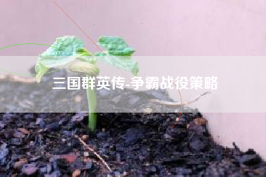 三国群英传-争霸战役策略  第1张
