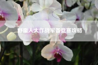 野蛮人大作战军备竞赛攻略  第1张