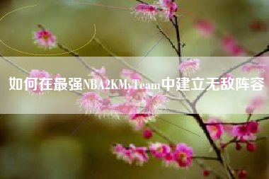如何在最强NBA2KMyTeam中建立无敌阵容  第1张